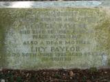image of grave number 493217